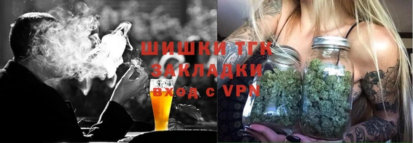 шишки Гусиноозёрск