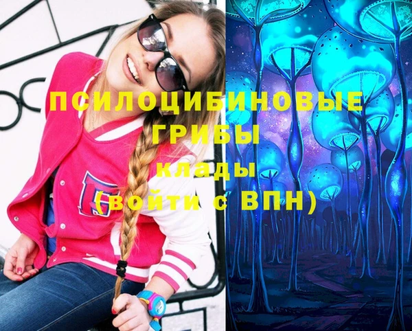 а пвп мука Гусь-Хрустальный