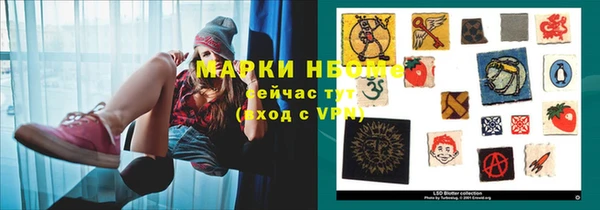 ПСИЛОЦИБИНОВЫЕ ГРИБЫ Гусев