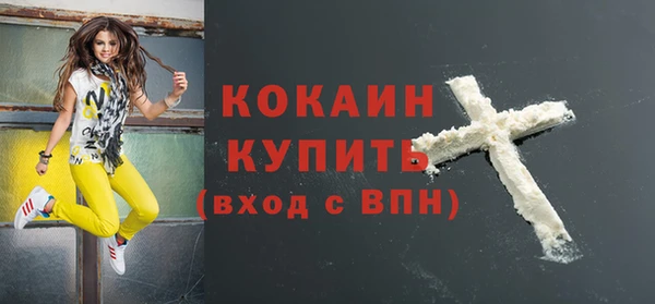 шишки Гусиноозёрск