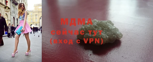 шишки Гусиноозёрск