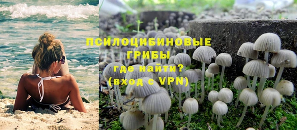 шишки Гусиноозёрск