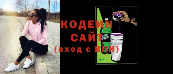 ПСИЛОЦИБИНОВЫЕ ГРИБЫ Гусев