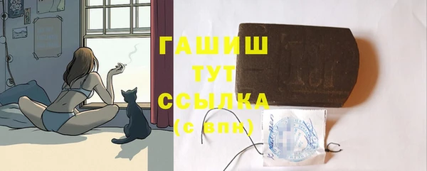шишки Гусиноозёрск