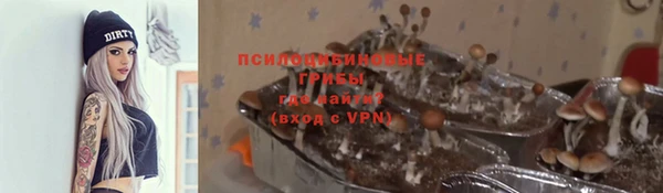 а пвп мука Гусь-Хрустальный