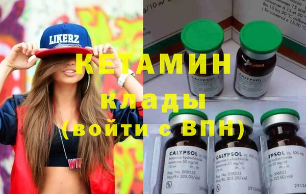 шишки Гусиноозёрск