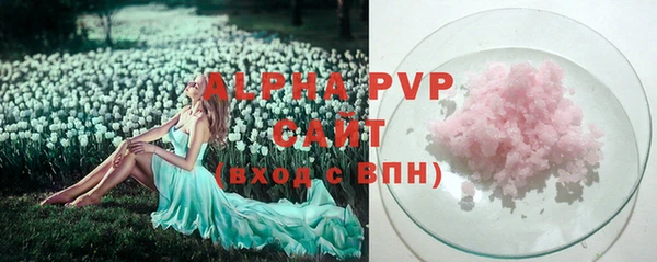 шишки Гусиноозёрск