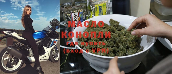 шишки Гусиноозёрск