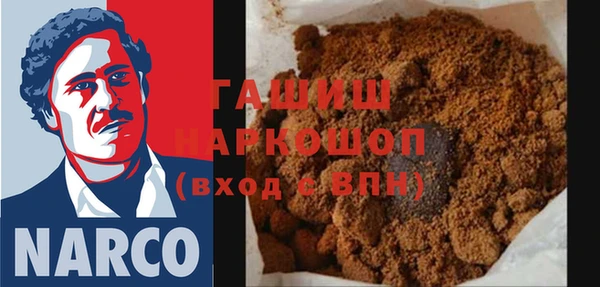 шишки Гусиноозёрск