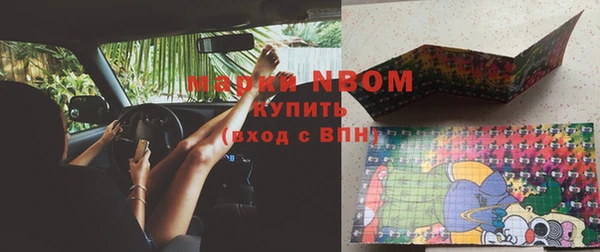 ГАЛЛЮЦИНОГЕННЫЕ ГРИБЫ Щучье