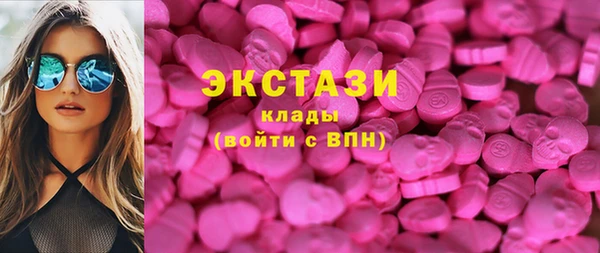 ПСИЛОЦИБИНОВЫЕ ГРИБЫ Гусев