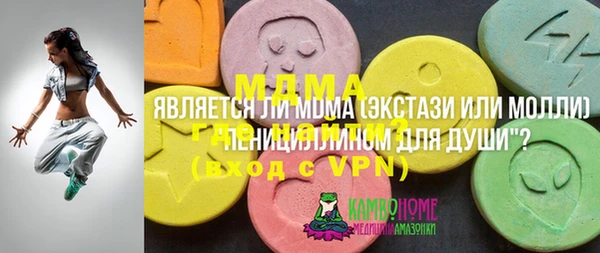 шишки Гусиноозёрск