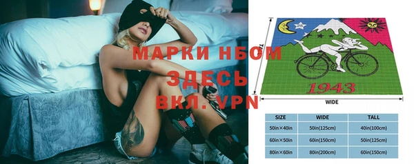 шишки Гусиноозёрск