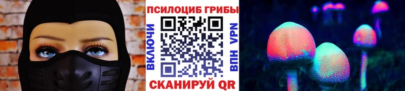 Псилоцибиновые грибы мицелий Нурлат