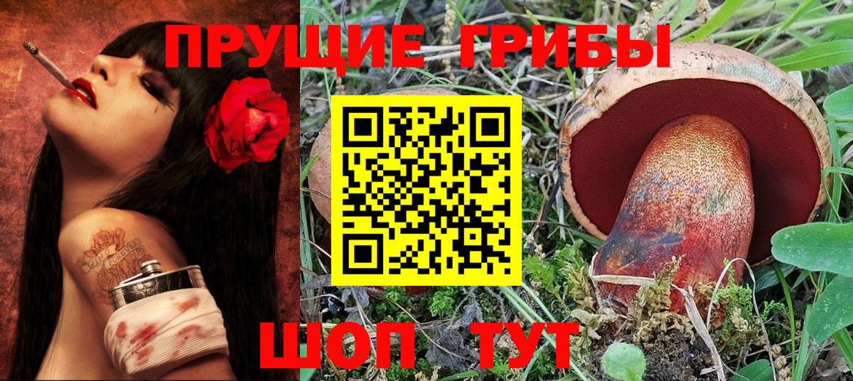 Псилоцибиновые грибы GOLDEN TEACHER  Нурлат 