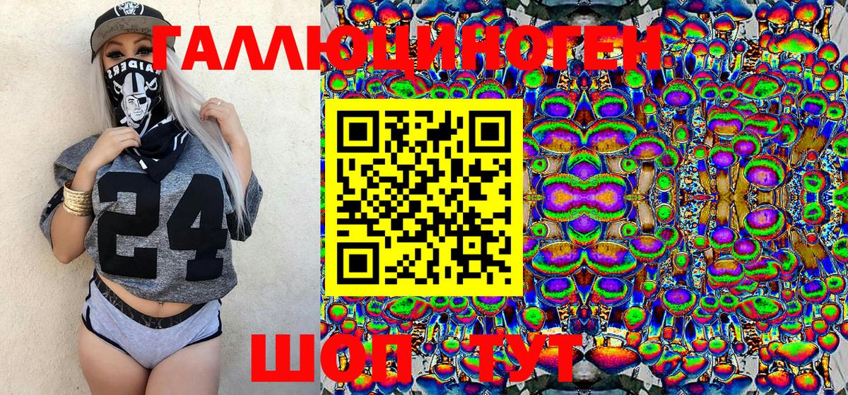 Псилоцибиновые грибы Psilocybe Нурлат